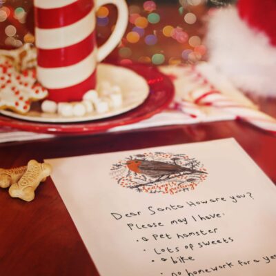 Christmas Robin Thank You Letters by Cherith Harrison
