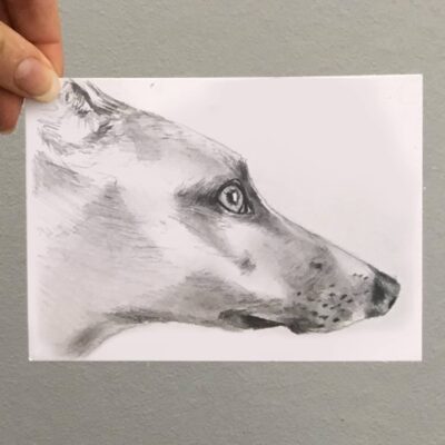 dog drawing by Cherith Harrison