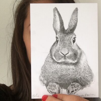 rabbit drawing by Cherith Harrison