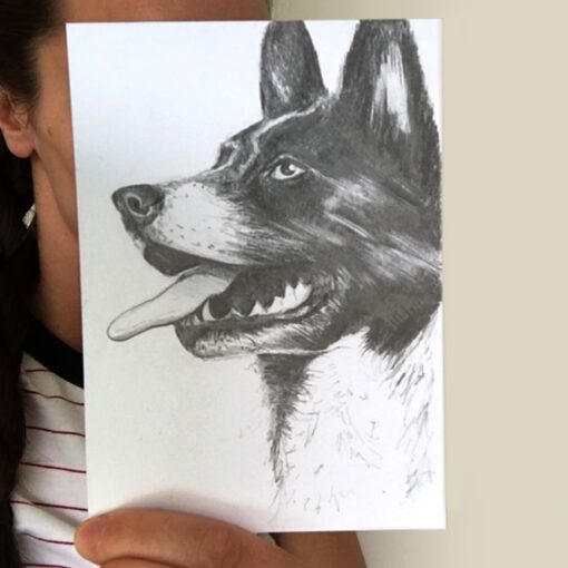 dog drawing by Cherith Harrison