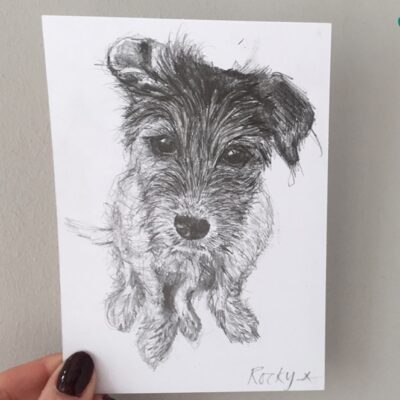 dog drawing by Cherith Harrison