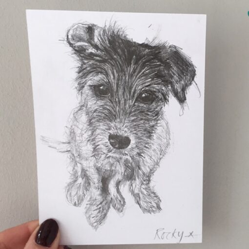 dog drawing by Cherith Harrison