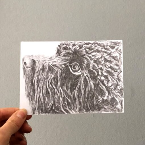 Postcard Pet Portrait by Cherith Harrison Postcard Pet Portrait by Cherith Harrison