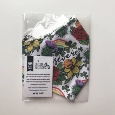 Rainbow face mask by Cherith Harrison