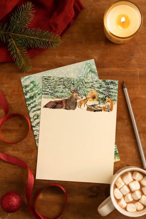 Cherith Harrison Winter Woodland Christmas Writing Set Setting
