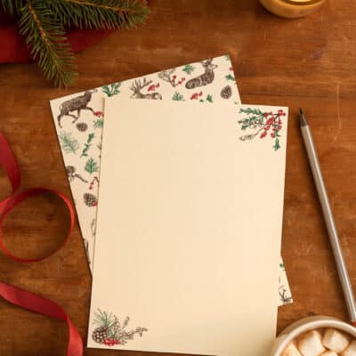 Cherith Harrison Christmas Reindeer Writing Set for Christmas Eve