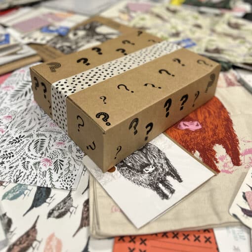 Surprise Mystery Box by Cherith Harrison 2025 Surprise Mystery Box by Cherith Harrison 2025