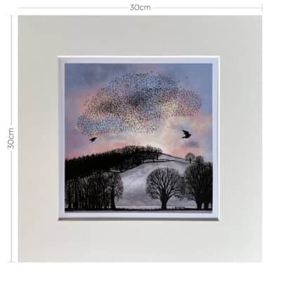 Dimensions of Mounted Starling Murmuration at Sunrise Print by Cherith Harrison