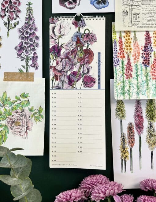 Cherith Harrison Seasonal Flowers Calendar June Page with Flowers