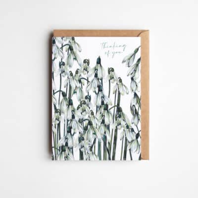 Thinking of You Snowdrops Greetings Card by Cherith Harrison