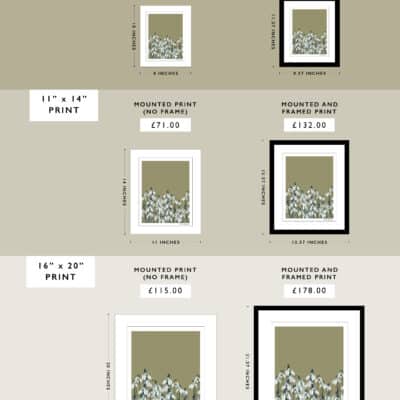 Cherith Harrison Website Mount and Frame Size Pricing Snowdrops