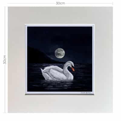 Swan Loch Mounted print Dimensions