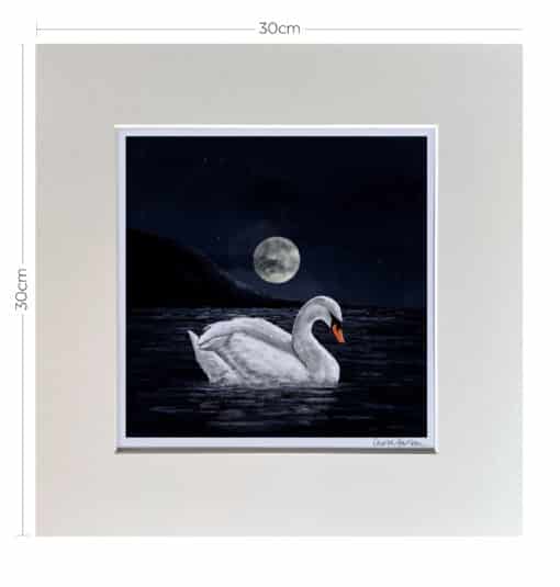 Swan Loch Mounted print Dimensions