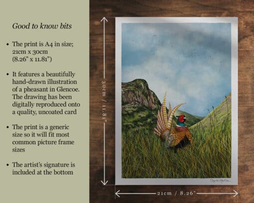 scottish wildlife illustration