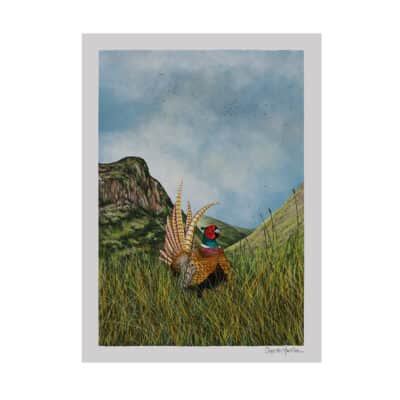 pheasant art Glencoe