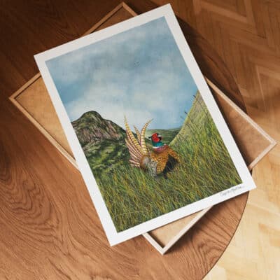 pheasant art Glencoe