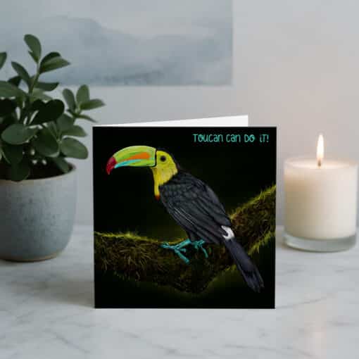 Cherith Harrison Toucan Do It Greeetings Cards with Candle