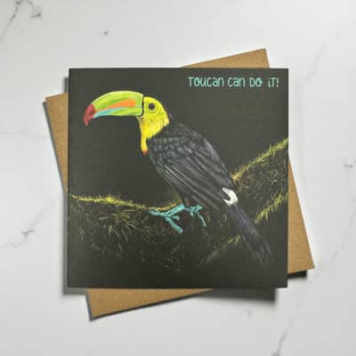 Cherith Harrison Toucan Do It Greetings Cards Flatlay
